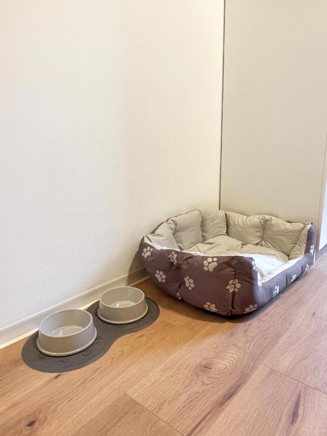 Moderne Studio Apartments In Nuernberg מראה חיצוני תמונה